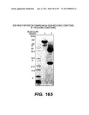 ANTIGEN-BINDING CONSTRUCTS diagram and image