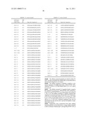 Uses of Myostatin Antagonists diagram and image