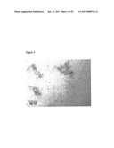 IMMUNOGENIC COMPOSITIONS CAPABLE OF ACTIVATING T-CELLS diagram and image