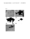 IMMUNOGENIC COMPOSITIONS CAPABLE OF ACTIVATING T-CELLS diagram and image