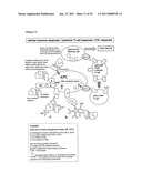 IMMUNOGENIC COMPOSITIONS CAPABLE OF ACTIVATING T-CELLS diagram and image