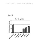 IMMUNOGENIC COMPOSITIONS CAPABLE OF ACTIVATING T-CELLS diagram and image