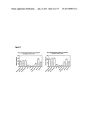 IMMUNOGENIC COMPOSITIONS CAPABLE OF ACTIVATING T-CELLS diagram and image