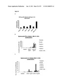 IMMUNOGENIC COMPOSITIONS CAPABLE OF ACTIVATING T-CELLS diagram and image