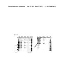 IMMUNOGENIC COMPOSITIONS CAPABLE OF ACTIVATING T-CELLS diagram and image