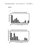 IMMUNOGENIC COMPOSITIONS CAPABLE OF ACTIVATING T-CELLS diagram and image