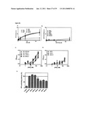 IMMUNOGENIC COMPOSITIONS CAPABLE OF ACTIVATING T-CELLS diagram and image