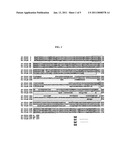 MODIFIED FLAGELLIN IMPROVED TOLL-LIKE RECEPTOR 5 STIMULATING ACTIVITY diagram and image