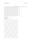 MODIFIED FLAGELLIN IMPROVED TOLL-LIKE RECEPTOR 5 STIMULATING ACTIVITY diagram and image