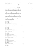 MODIFIED FLAGELLIN IMPROVED TOLL-LIKE RECEPTOR 5 STIMULATING ACTIVITY diagram and image