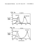 Compositions and methods using recombinant MHC molecules for the treatment of uveitis diagram and image