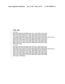 Compositions and methods using recombinant MHC molecules for the treatment of uveitis diagram and image