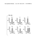 Compositions and methods using recombinant MHC molecules for the treatment of uveitis diagram and image