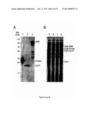 VACCINE TARGETS AND DELIVERY SYSTEMS FOR CRYPTOSPORIDIUM diagram and image