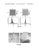 CARRIER COMPRISING NANODIAMOND diagram and image