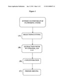 USE OF HYPERICUM PERFORATUM EXTRACTS IN THE TREATMENT OF NEUROPATHIC PAIN diagram and image