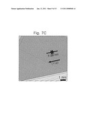 Oriented noble metal single crystalline nanowire and preparation method thereof diagram and image