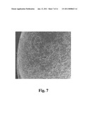  COAT POLYMERIC PARTICULATE, AND A PROCESS FOR COATING A POLYMERIC PARTICULATE diagram and image