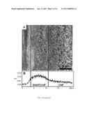 CATALYTIC ELECTRODE WITH GRADIENT POROSITY AND CATALYST DENSITY FOR FUEL CELLS diagram and image