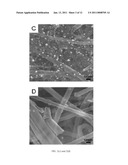 CATALYTIC ELECTRODE WITH GRADIENT POROSITY AND CATALYST DENSITY FOR FUEL CELLS diagram and image