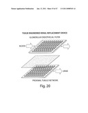 USE OF THREE-DIMENSIONAL MICROFABRICATED TISSUE ENGINEERED SYSTEMS FOR PHARMACOLOGIC APPLICATIONS diagram and image