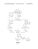 MICROORGANISMS AND METHODS FOR CARBON-EFFICIENT BIOSYNTHESIS OF MEK AND 2-BUTANOL diagram and image