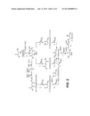 MICROORGANISMS AND METHODS FOR CARBON-EFFICIENT BIOSYNTHESIS OF MEK AND 2-BUTANOL diagram and image