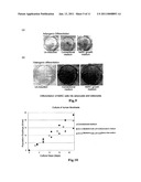 MEDIUM FOR MAMMALIAN SOMATIC CELLS AND ADDITIVE THEREFOR diagram and image