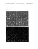 HIGH THROUGHPUT SCREENING METHOD AND APPARATUS FOR ANALYSING INTERACTIONS BETWEEN SURFACES WITH DIFFERENT TOPOGRAPHY AND THE ENVIRONMENT diagram and image