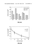 PEPTIDES AND THEIR UTILITY IN MODULATION OF BEHAVIOR OF CELLS EXPRESSING ALPHA3 BETA1 INTEGRINS diagram and image