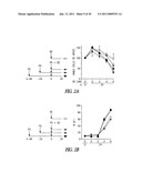 TARGETING CDK4 AND CDK6 IN CANCER THERAPY diagram and image