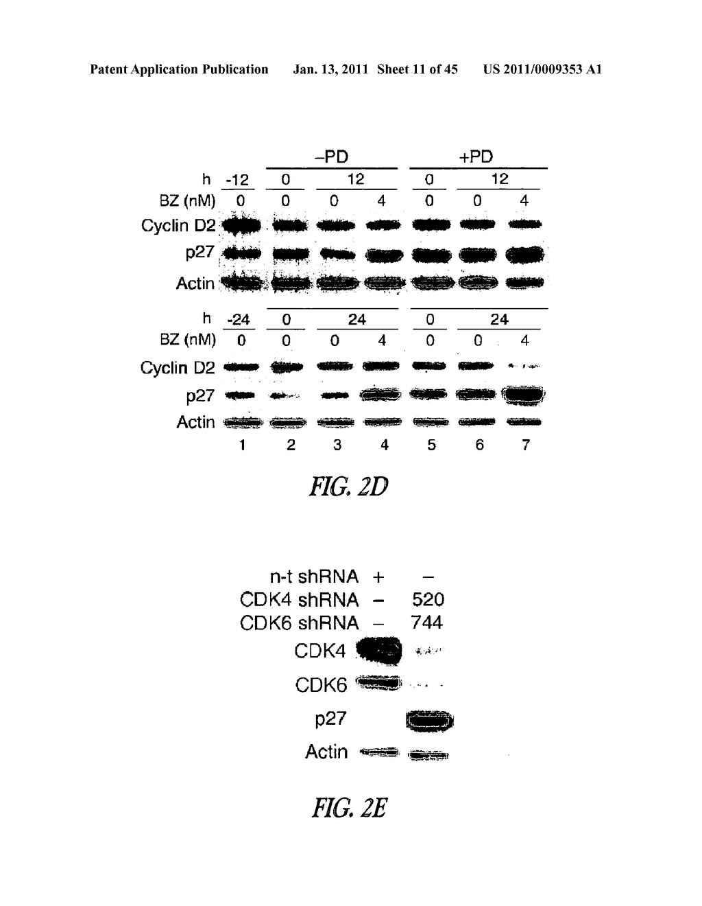 TARGETING CDK4 AND CDK6 IN CANCER THERAPY - diagram, schematic, and image 12