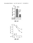 TARGETING CDK4 AND CDK6 IN CANCER THERAPY diagram and image