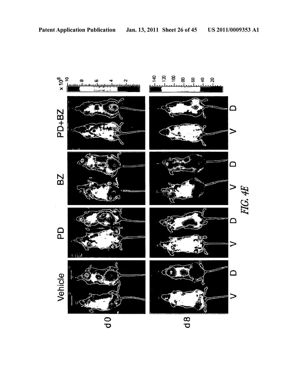 TARGETING CDK4 AND CDK6 IN CANCER THERAPY - diagram, schematic, and image 27