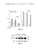 TARGETING CDK4 AND CDK6 IN CANCER THERAPY diagram and image