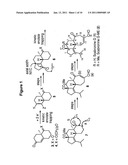 SYNTHESIS OF SCABRONINES AND ANALOGUES THEREOF diagram and image