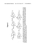 SYNTHESIS OF SCABRONINES AND ANALOGUES THEREOF diagram and image