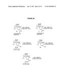 SYNTHESIS OF SCABRONINES AND ANALOGUES THEREOF diagram and image