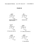 SYNTHESIS OF SCABRONINES AND ANALOGUES THEREOF diagram and image