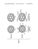METHOD FOR TREATING PRURITUS BY ADMINISTERING FULLERENES diagram and image