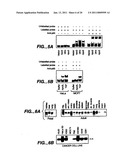 APO-2 RECEPTOR POLYPEPTIDES diagram and image