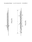 VASCULAR AND BODILY DUCT TREATMENT DEVICES AND METHODS diagram and image