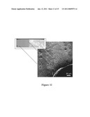 Manufacture of Shape-Memory Alloy Cellular Materials and Structures by Transient-Liquid Reactive Joining diagram and image