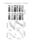 Manufacture of Shape-Memory Alloy Cellular Materials and Structures by Transient-Liquid Reactive Joining diagram and image