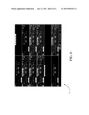 ZOOM PANE FOR A CENTRAL MONITORING DEVICE diagram and image