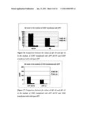 PRODUCTS AND THEIR USE FOR THE DIAGNOSIS, PREVENTION AND/OR CARE OF HUMAN AND/OR ANIMAL PATHOLOGIES CHARACTERISED BY THE ANOMALOUS DEPOSITION OF B-AMYLOID AND/OR AMYLOID-LIKE SUBSTANCE IN HUMAN AND/OR ANIMAL ORGANS AND TISSUES, AND SCREENING METHOD FOR DETERMINING THE RISK OF SUCH PATHOLOGIES diagram and image