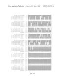 AP2 DOMAIN TRANSCRIPTION FACTOR ODP2 (OVULE DEVELOPMENT PROTEIN 2) AND METHODS OF USE diagram and image