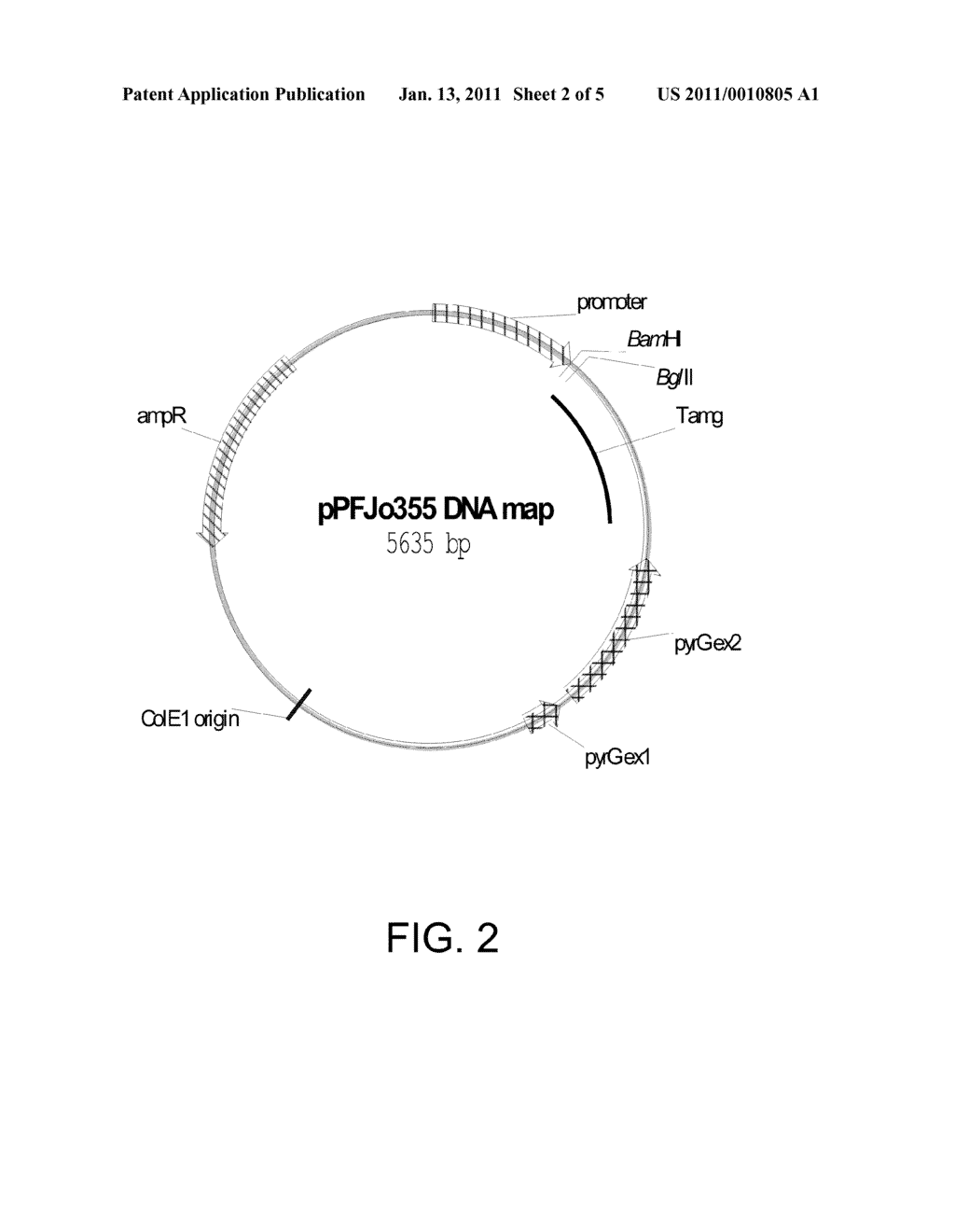 Polypeptides having cellulolytic enhancing activity and polynucleotides encoding same - diagram, schematic, and image 03