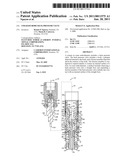 STRAIGHT-BORE BACK PRESSURE VALVE diagram and image