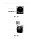 GROUP-III ELEMENT NITRIDE CRYSTAL PRODUCING METHOD AND GROUP-III ELEMENT NITRIDE CRYSTAL diagram and image